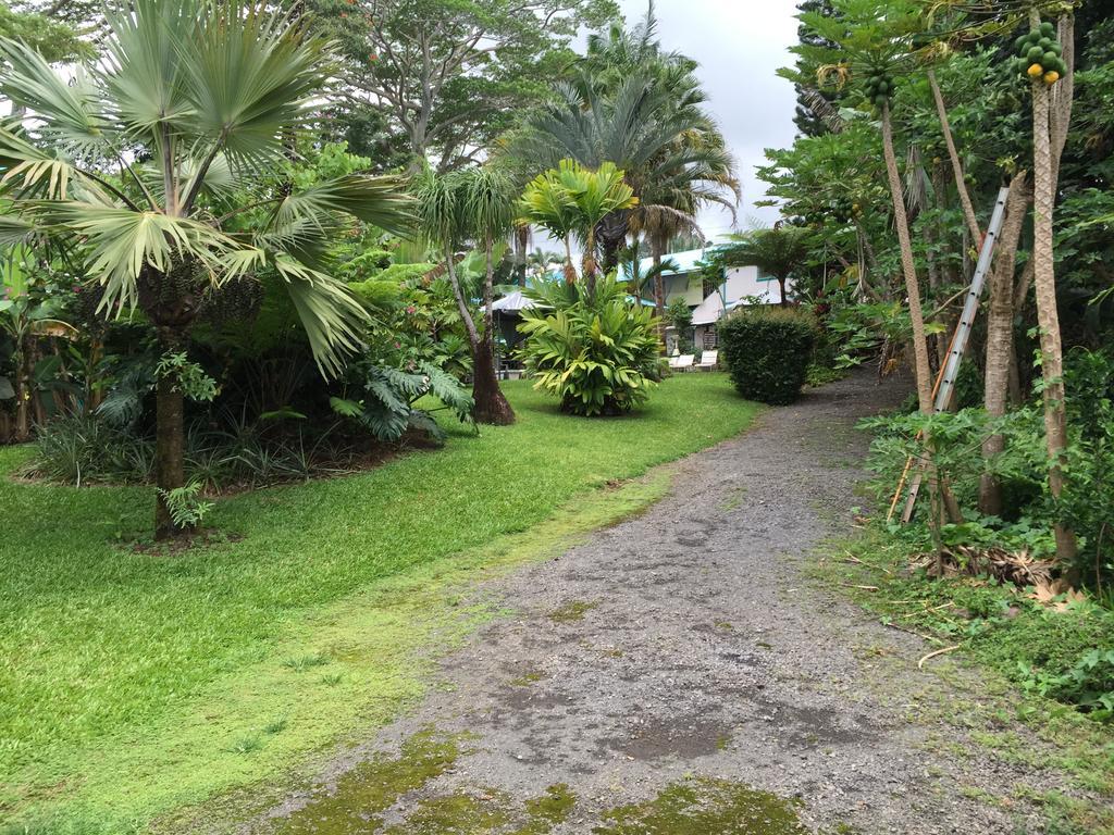 Wild Ginger Inn Hotel & Hostel Hilo Exterior foto