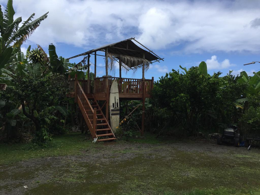 Wild Ginger Inn Hotel & Hostel Hilo Exterior foto