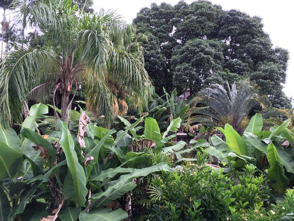 Wild Ginger Inn Hotel & Hostel Hilo Exterior foto